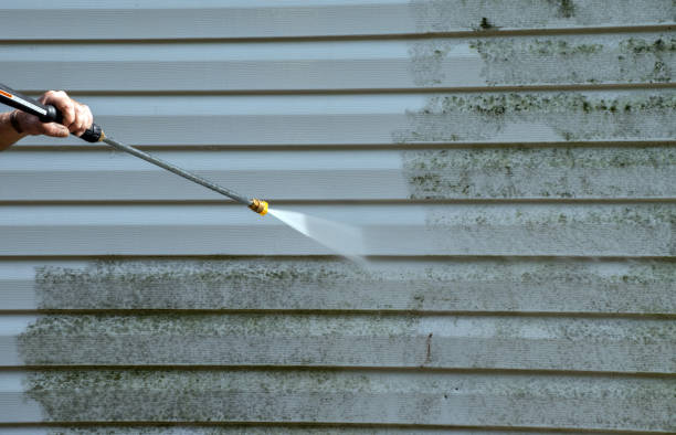 Best Affordable Pressure Washing  in Mount Ayr, IA