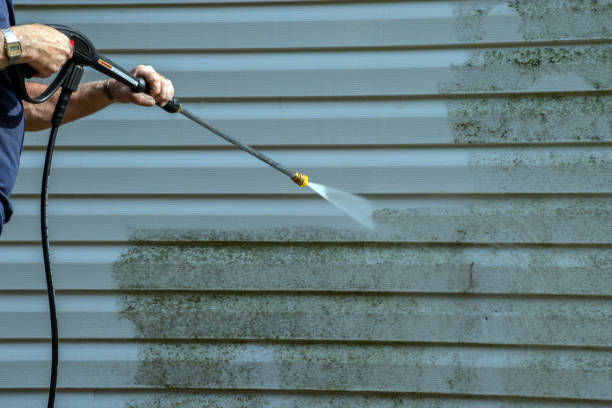 Best Commercial Building Pressure Washing  in Mount Ayr, IA
